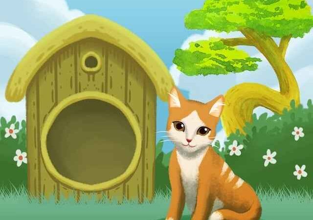 Kiedy przesadzać rośliny kupione wiosną – optymalny moment i kluczowe zasady