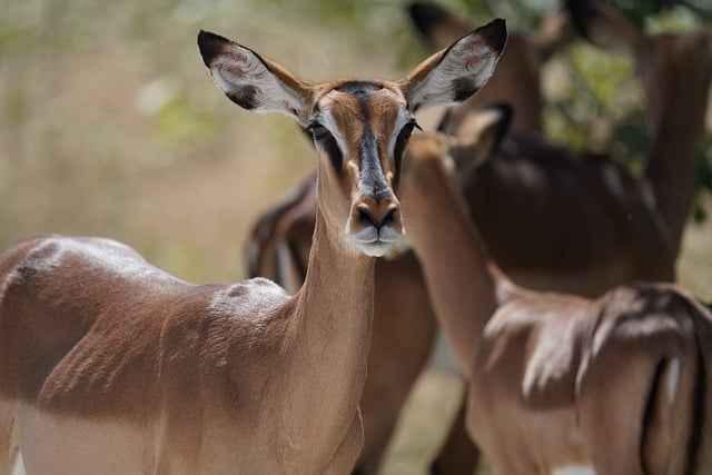 Swoboda w apartamencie – Twoje prawa i możliwości najmu