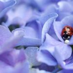 Jaki namiot wybrać na pierwszy kemping z dziećmi do pięciu lat – komfort i bezpieczeństwo