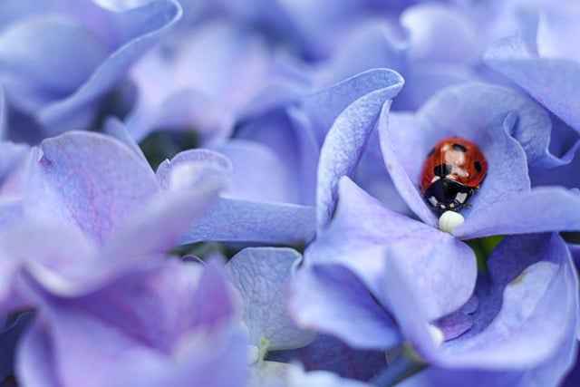 Jaki namiot wybrać na pierwszy kemping z dziećmi do pięciu lat – komfort i bezpieczeństwo