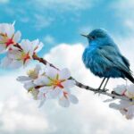 Jakie certyfikaty zdrowotne mogą uzyskać dekoracje z mchu – normy, atesty, dokumentacja